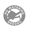 No watering